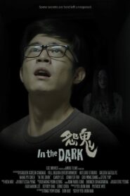怨鬼 Online En Netflix