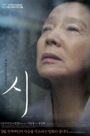 시 Online En Netflix