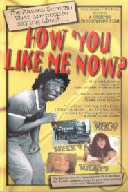 How ‘You Like Me Now? Online En Netflix