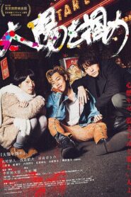 太陽を掴め Online En Netflix