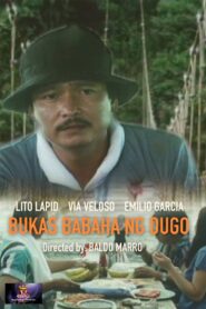 Bukas, Babaha ng Dugo Online En Netflix