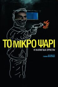 Το Μικρό Ψάρι Online En Netflix