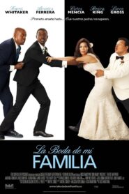 Our Family Wedding Online En Netflix