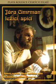 Jára Cimrman ležící, spící Online En Netflix