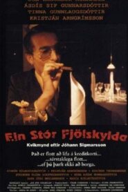 Ein stór fjölskylda Online En Netflix
