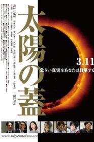 太陽の蓋 Online En Netflix