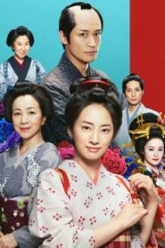 みをつくし料理帖 Online En Netflix