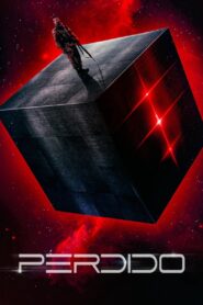 Perdido Online En Netflix