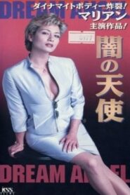 闇の天使　DREAM ANGEL Online En Netflix