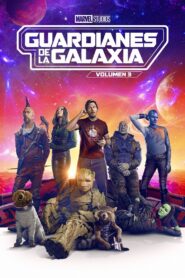 Guardianes de la Galaxia volumen 3 Online En Netflix