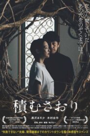 積むさおり Online En Netflix
