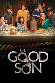 The Good Son 2017 En Netflix