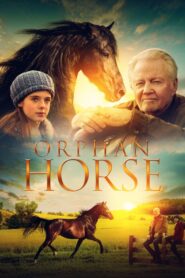 Orphan Horse Online En Netflix