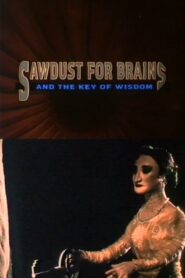 Sawdust for Brains and the Key of Wisdom Online En Netflix