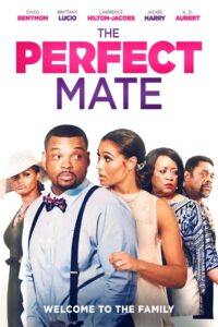 The Perfect Mate Online En Netflix