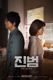 진범 Online En Netflix