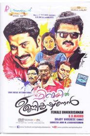ഫീമെയ്ൽ ഉണ്ണികൃഷ്ണൻ Online En Netflix
