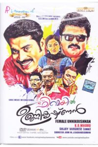 ഫീമെയ്ൽ ഉണ്ണികൃഷ്ണൻ Online En Netflix
