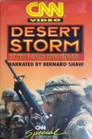 Desert Storm: The War Begins Online En Netflix