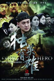 独有英雄 2013 En Netflix
