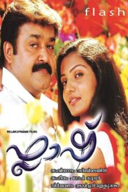 ഫ്ലാഷ് Online En Netflix
