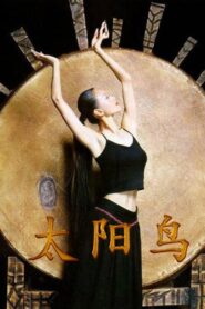 太阳鸟 Online En Netflix