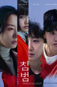 침범 Online En Netflix