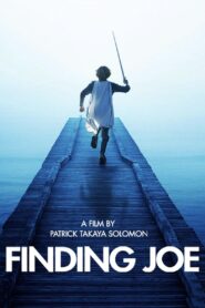 Finding Joe Online En Netflix
