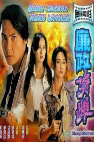 廉政英雌 Online En Netflix