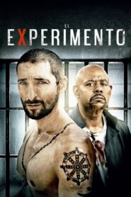 El Experimento Online En Netflix