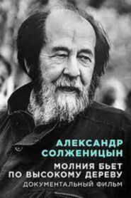 Александр Солженицын Молния бьет по высокому дереву Online En Netflix