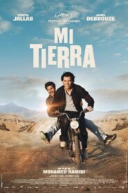 Né quelque part Online En Netflix
