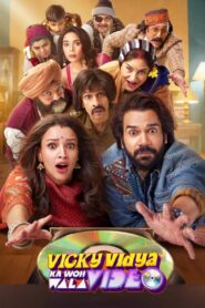 विक्की विद्या का वो वाला वीडियो Online En Netflix
