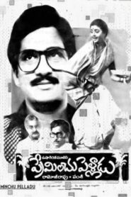 ప్రేమించు పెళ్లాడు Online En Netflix
