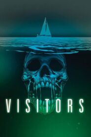 Visitors Online En Netflix