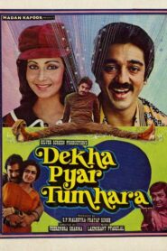 देखा प्यार तुम्हारा Online En Netflix