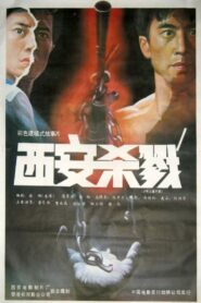 西安杀戮 Online En Netflix