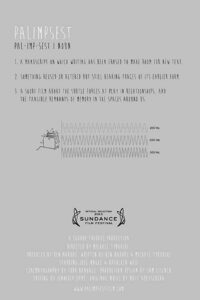 Palimpsest Online En Netflix