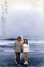 あの夏、いちばん静かな海。 Online En Netflix
