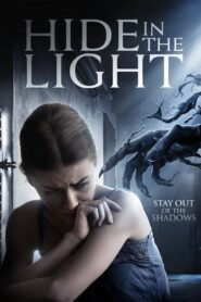 Hide in the Light Online En Netflix