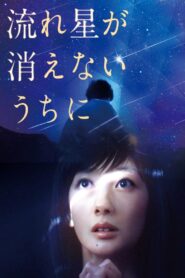 流れ星が消えないうちに Online En Netflix