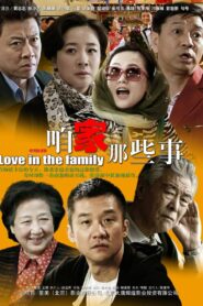 咱家那些事 2011 En Netflix
