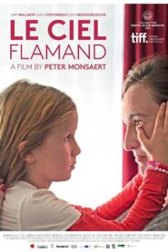 Le Ciel Flamand Online En Netflix