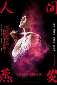 人間蒸發 Online En Netflix