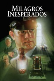 Milagros Inesperados Online En Netflix