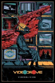 Videoblivion Online En Netflix