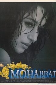 Mohabbat Online En Netflix