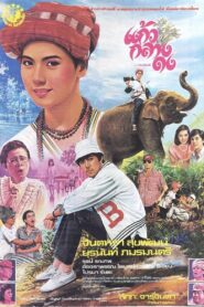แก้วกลางดง Online En Netflix