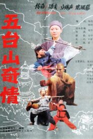 五台山奇情 Online En Netflix