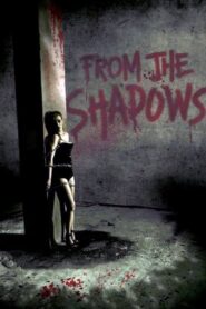 From the Shadows Online En Netflix